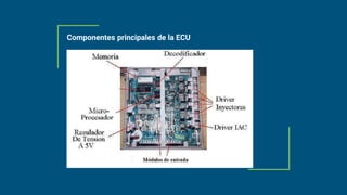 Componentes principales de la ECU
 