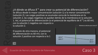 Respuesta¿A dónde se difusa 𝐾+ para crear su potencial de diferenciación?
Se difusa desde la mayor concentración (solución 1) a la menor concentración
(solución 2). Las cargas positivas se acumulan cerca de la membrana en la
solución 2, las cargas negativas se quedan detrás de la membrana en la solución
1. Así, el potencial de diferenciación (o el potencial de equilibrio de 𝐾+) es 60 mV,
con la solución 1 negativa con respecto a
la solución 2.
O puesto de otra manera, el potencial
de diferenciación es 60 mV, con la
solución 2 positiva con respecto a la 1
 