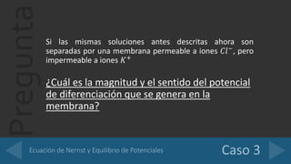 PreguntaSi las mismas soluciones antes descritas ahora son
separadas por una membrana permeable a iones 𝐶𝑙−, pero
impermeable a iones 𝐾+
¿Cuál es la magnitud y el sentido del potencial
de diferenciación que se genera en la
membrana?
 