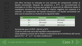 Pregunta
Una fibra nerviosa es colocada en una solución de composición similar al
líquido extracelular. Después de prepararla a 37°C, un microelectrodo es
insertado en la fibra nerviosa para grabar el potencial de diferencia desde la
membrana nerviosa a 70 mV, siendo el interior negativo con respecto a la
solución. La composición del líquido intracelular y el líquido extracelular (en
este caso la solución) se muestra en la siguiente tabla:
Asumiendo que 2.3 RT/F = 60 mV a 37°C
¿Cuál ion está más cerca del equilibrio electroquímico?
¿Qué podemos concluir de la relativa conductancia de la membrana del nervio
para el 𝑁𝑎+, 𝐾+ y 𝐶𝑙− en estas condiciones?
Ion Intracelular Extracelular
𝑁𝑎+ 30 mmol/L 140 mmol/L
𝐾+ 100 mmol/L 4 mmol/L
𝐶𝑙− 5 mmol/L 100 mmol/L
 