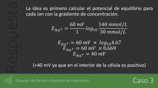 Respuesta La idea es primero calcular el potencial de equilibrio para
cada ion con la gradiente de concentración.
𝐸 𝑁𝑎+ =
60 𝑚𝑉
1
𝑙𝑜𝑔10
140 𝑚𝑚𝑜𝑙/𝐿
30 𝑚𝑚𝑜𝑙/𝐿
𝐸 𝑁𝑎+ = 60 𝑚𝑉 × 𝑙𝑜𝑔104.67
𝐸 𝑁𝑎+ = 60 𝑚𝑉 × 0.669
𝐸 𝑁𝑎+ = 40 𝑚𝑉
(+40 mV ya que en el interior de la célula es positivo)
 