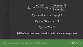 Respuesta 𝐸 𝐶𝑙− =
60 𝑚𝑉
1
𝑙𝑜𝑔10
100 𝑚𝑚𝑜𝑙/𝐿
5 𝑚𝑚𝑜𝑙/𝐿
𝐸 𝐶𝑙− = 60 𝑚𝑉 × 𝑙𝑜𝑔1020
𝐸 𝐶𝑙− = 60 𝑚𝑉 × 1.3
𝐸 𝐶𝑙− = 78 𝑚𝑉
(-78 mV ya que en el interior de la célula es negativo)
 