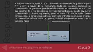 Respuesta
KCl se disocia en los iones 𝐾+ y 𝐶𝑙− hay una concentración de gradientes para
𝐾+ y 𝐶𝑙− a través de la membrana. Cada ion intentará disminuir su
concentración de gradiente, pero la membrana solo es permeable para 𝐾+. Así
que los iones de 𝐾+ se difundirán a través de la membrana de donde hay mayor
concentración a donde hay menor, pero los iones 𝐶𝑙− no lo harán. Como
consecuencia, la carga neta positiva es acarreada entre las membranas, creando
un potencial de diferenciación (𝐾+ potencial de difusión) como se muestra en la
siguiente figura Membrana selectiva para iones 𝐾+
10 𝐾+
10 𝐶𝑙−
100 𝐾+
100 𝐶𝑙−
-
-
-
+
+
+
 