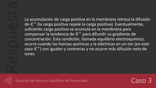 Respuesta La acumulación de carga positiva en la membrana retrasa la difusión
de 𝐾+ (la carga positiva repele la carga positiva). Eventualmente,
suficiente carga positiva se acumula en la membrana para
compensar la tendencia de 𝐾+ para difundir su gradiente de
concentración. Esta condición, llamada equilibrio electroquímico,
ocurre cuando las fuerzas químicas y la eléctricas en un ion (en este
caso 𝐾+
) son iguales y contrarias y no ocurre más difusión neta de
iones.
 