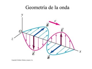 Geometría de la onda