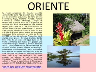 COSTALa región de la costa ecuatoriana es más que hermosas playas de aguas cálidas todo el año; es la tierra de los manglares más altos del mundo  y una de las particulares bellezas de Ecuador.Durante Septiembre, las ballenas pueden ser vistas cerca del Parque Nacional Machalilla. La Plata, una pequeña isla similar a algunos islotes de las Galápagos, es parte de éste parque. Esta zona es perfecta para la observación de aves y brinda magníficas experiencias en buceo.Sin embargo, Machalilla no es el único atractivo de nuestra costa. Viajar  a lo largo de la misma le ofrece la oportunidad de visitar sitios arqueológicos de culturas pre-colombinasVIDEO ILUSTRATIVO  SOBRE LA COSTA ECUATORIANA