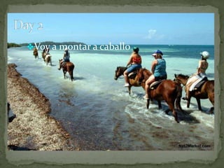 I'm fliying en un el avion de cheapflights.com y se me costo $455 ida y vuelta.