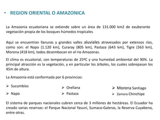 La Amazonia ecuatoriana se extiende sobre un área de 131.000 km2 de exuberante
vegetación propia de los bosques húmedos tropicales.
• REGION ORIENTAL O AMAZONICA
Aquí se encuentran llanuras y grandes valles aluviales atravesados por extensos ríos,
como son: el Napo (1.120 km), Curaray (805 km), Pastaza (643 km), Tigre (563 km),
Morona (418 km), todos desembocan en el rio Amazonas.
El clima es ecuatorial, con temperaturas de 25ºC y una humedad ambiental del 90%. La
principal atracción es la vegetación, y en particular los árboles, los cuales sobrepasan los
45m de altura.
La Amazonia está conformada por 6 provincias:
 Sucumbíos
 Napo
 Orellana
 Pastaza
 Morona Santiago
 Zamora Chinchipe
El sistema de parques nacionales cubren cerca de 3 millones de hectáreas. El Ecuador ha
creado varias reservas: el Parque Nacional Yasuní, Sumaco-Galeras, la Reserva Cuyabeno,
entre otras.
 