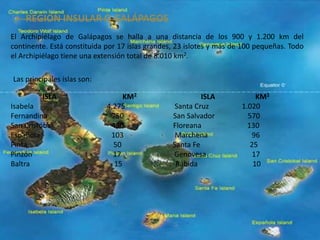• REGION INSULAR O GALÁPAGOS
El Archipiélago de Galápagos se halla a una distancia de los 900 y 1.200 km del
continente. Está constituida por 17 islas grandes, 23 islotes y más de 100 pequeñas. Todo
el Archipiélago tiene una extensión total de 8.010 km2.
Las principales islas son:
ISLA KM2 ISLA KM2
Isabela 4.275 Santa Cruz 1.020
Fernandina 750 San Salvador 570
San Cristóbal 430 Floreana 130
Española 103 Marchena 96
Pinta 50 Santa Fe 25
Pinzón 17 Genovesa 17
Baltra 15 Rábida 10
 