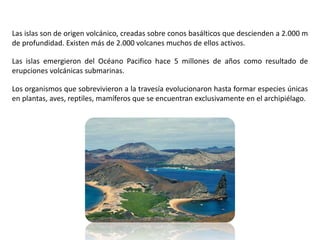 Las islas son de origen volcánico, creadas sobre conos basálticos que descienden a 2.000 m
de profundidad. Existen más de 2.000 volcanes muchos de ellos activos.
Las islas emergieron del Océano Pacifico hace 5 millones de años como resultado de
erupciones volcánicas submarinas.
Los organismos que sobrevivieron a la travesía evolucionaron hasta formar especies únicas
en plantas, aves, reptiles, mamíferos que se encuentran exclusivamente en el archipiélago.
 
