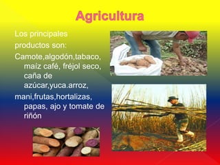 Los principales
productos son:
Camote,algodón,tabaco,
  maíz café, fréjol seco,
  caña de
  azúcar,yuca.arroz,
mani,frutas,hortalizas,
  papas, ajo y tomate de
  riñón
 