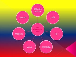 caña de
                    azúcar

   caucho                               café



                      Sus
                   Productos
                      son:
madera                                         té




            yuca           naranjilla
 