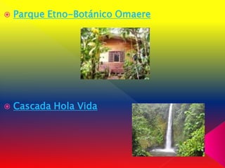    Parque Etno-Botánico Omaere




   Cascada Hola Vida
 