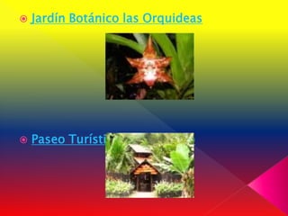    Jardín Botánico las Orquideas




   Paseo Turístico del Río Puyo
 
