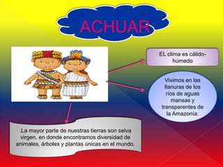 ACHUAR
                                                  EL clima es cálido-
                                                        húmedo


                                                     Vivimos en las
                                                     llanuras de los
                                                      ríos de aguas
                                                         mansas y
                                                   transparentes de
                                                      la Amazonía.


 .La mayor parte de nuestras tierras son selva
  virgen, en donde encontramos diversidad de
animales, árboles y plantas únicas en el mundo.
 