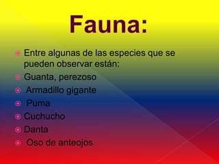  Entre algunas de las especies que se
  pueden observar están:
 Guanta, perezoso
 Armadillo gigante
 Puma
 Cuchucho
 Danta
 Oso de anteojos
 