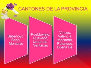Vinces,
            Puebloviejo,
Babahoyo,                  Valencia,
             Quevedo,
  Baba,                    Mocache,
             Urdaneta,
 Montalvo                  Palenque,
             Ventanas
                           Buena Fé.
 
