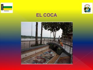 EL COCA
 