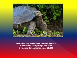 Llamadas también islas de los Galápagos y
    oficialmente Archipiélago de Colon
   El numero de habitantes es de 25.034
 