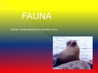 FAUNA
Existen varias especies de animales como:
 