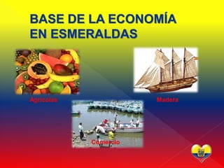 BASE DE LA ECONOMÍA
EN ESMERALDAS




Agrícolas              Madera




            Comercio
 