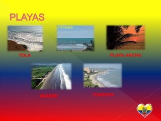 TOLA                 PLAYA ANCHA




       MUISNE   TONSUPA
 