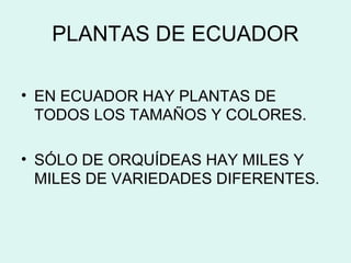 PLANTAS DE ECUADOR
• EN ECUADOR HAY PLANTAS DE
TODOS LOS TAMAÑOS Y COLORES.
• SÓLO DE ORQUÍDEAS HAY MILES Y
MILES DE VARIEDADES DIFERENTES.
 