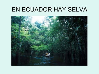 EN ECUADOR HAY SELVA
 