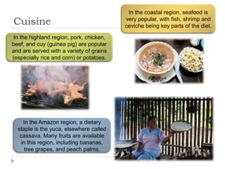 Cuisine
In the highland region, pork, chicken,
beef, and cuy (guinea pig) are popular
and are served with a variety of grains
(especially rice and corn) or potatoes.
In the coastal region, seafood is
very popular, with fish, shrimp and
ceviche being key parts of the diet.
In the Amazon region, a dietary
staple is the yuca, elsewhere called
cassava. Many fruits are available
in this region, including bananas,
tree grapes, and peach palms.
 