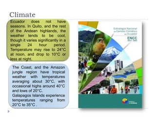 Climate
The Coast, and the Amazon
jungle region have tropical
weather with temperatures
averaging about 30°C, with
occasional highs around 40°C
and lows of 20°C.
Galapagos Islands experience
temperatures ranging from
20°C to 35°C .
Ecuador does not have
seasons. In Quito, and the rest
of the Andean highlands, the
weather tends to be cool,
though it varies significantly in a
single 24 hour period.
Temperature may rise to 24°C
at noon, and drop to 10°C or
less at night.
 
