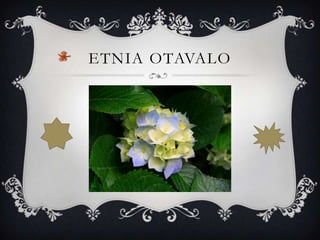 ETNIA OTAVALO
 