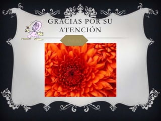GRACIAS POR SU
ATENCIÓN
INICIO
 