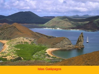 Islas Galápagos

 