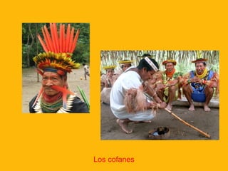 Los cofanes

 