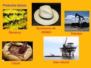 Productos típicos:

Bananos

Cacao

Sombreros de
Jipijapa

Gas natural

Petroleo

 