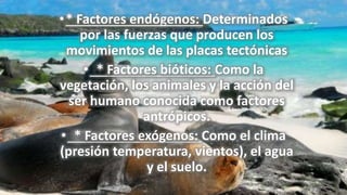 •* Factores endógenos: Determinados
por las fuerzas que producen los
movimientos de las placas tectónicas
• * Factores bióticos: Como la
vegetación, los animales y la acción del
ser humano conocida como factores
antrópicos.
• * Factores exógenos: Como el clima
(presión temperatura, vientos), el agua
y el suelo.
 