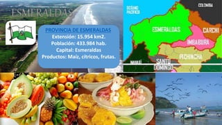 PROVINCIA DE ESMERALDAS
Extensión: 15.954 km2.
Población: 433.984 hab.
Capital: Esmeraldas
Productos: Maíz, cítricos, frutas.
 