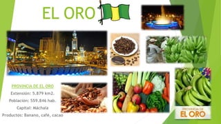 EL ORO
PROVINCIA DE EL ORO
Extensión: 5.879 km2.
Población: 559.846 hab.
Capital: Máchala
Productos: Banano, café, cacao
 