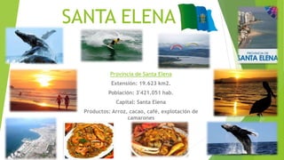 SANTA ELENA
Provincia de Santa Elena
Extensión: 19.623 km2.
Población: 3'421.051 hab.
Capital: Santa Elena
Productos: Arroz, cacao, café, explotación de
camarones
 