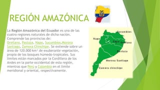 REGIÓN AMAZÓNICA
La Región Amazónica del Ecuador es una de las
cuatro regiones naturales de dicha nación.
Comprende las provincias de:
Orellana, Pastaza, Napo, Sucumbíos,Morona
Santiago, Zamora Chinchipe. Se extiende sobre un
área de 120.000 km² de exuberante vegetación,
propia de los bosques húmedo-tropicales. Sus
límites están marcados por la Cordillera de los
Andes en la parte occidental de esta región,
mientras que Perú y Colombia en el límite
meridional y oriental, respectivamente.
 