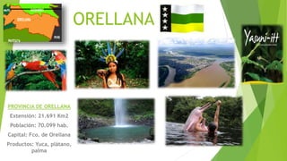 ORELLANA
PROVINCIA DE ORELLANA
Extensión: 21.691 Km2
Población: 70.099 hab.
Capital: Fco. de Orellana
Productos: Yuca, plátano,
palma
 