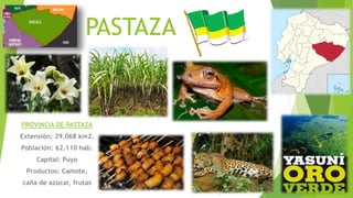 PASTAZA
PROVINCIA DE PASTAZA
Extensión: 29.068 km2.
Población: 62.110 hab.
Capital: Puyo
Productos: Camote,
caña de azúcar, frutas
 