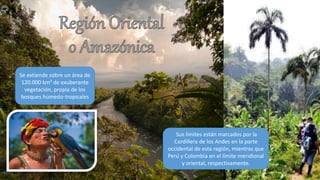 Se extiende sobre un área de
120.000 km² de exuberante
vegetación, propia de los
bosques húmedo-tropicales
Sus límites están marcados por la
Cordillera de los Andes en la parte
occidental de esta región, mientras que
Perú y Colombia en el límite meridional
y oriental, respectivamente.
 