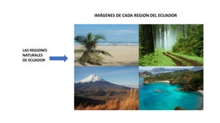 IMÁGENES DE CADA REGION DEL ECUADOR
LAS REGIONES
NATURALES
DE ECUADOR
 