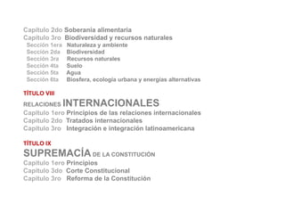 Ecuador nueva Constitucion 2008 