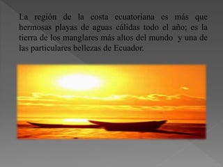 La región de la costa ecuatoriana es más que
hermosas playas de aguas cálidas todo el año; es la
tierra de los manglares más altos del mundo y una de
las particulares bellezas de Ecuador.
 