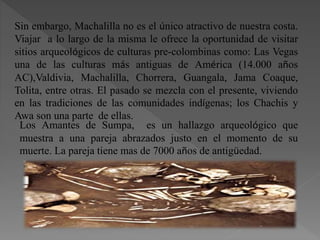 Sin embargo, Machalilla no es el único atractivo de nuestra costa.
Viajar a lo largo de la misma le ofrece la oportunidad de visitar
sitios arqueológicos de culturas pre-colombinas como: Las Vegas
una de las culturas más antiguas de América (14.000 años
AC),Valdivia, Machalilla, Chorrera, Guangala, Jama Coaque,
Tolita, entre otras. El pasado se mezcla con el presente, viviendo
en las tradiciones de las comunidades indígenas; los Chachis y
Awa son una parte de ellas.
Los Amantes de Sumpa, es un hallazgo arqueológico que
muestra a una pareja abrazados justo en el momento de su
muerte. La pareja tiene mas de 7000 años de antigüedad.
 