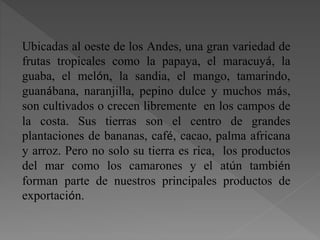 Ubicadas al oeste de los Andes, una gran variedad de
frutas tropicales como la papaya, el maracuyá, la
guaba, el melón, la sandia, el mango, tamarindo,
guanábana, naranjilla, pepino dulce y muchos más,
son cultivados o crecen libremente en los campos de
la costa. Sus tierras son el centro de grandes
plantaciones de bananas, café, cacao, palma africana
y arroz. Pero no solo su tierra es rica, los productos
del mar como los camarones y el atún también
forman parte de nuestros principales productos de
exportación.
 