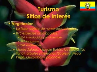 28
Turismo
Sitios de interés
• Vegetación:
– La flora: objeto de numerosos estudios
– 875 especies catalogadas:
• 250: introducidas por el hombre
• 397: indígenas
• 228: endémicas
– Monte Salado, Mangle Botón, los cactus (La
Tuna), árboles y helechos (Scalesia, Pega
Pega, Guayabo) y pajonales
 