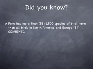 Did you know?

Peru has more than (53) 1,500 species of bird, more
than all birds in North America and Europe (54)
COMBINED.
 